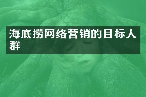 海底捞网络营销的目标人群