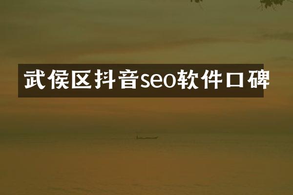 武侯区抖音seo软件口碑