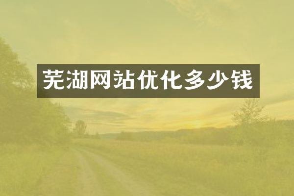芜湖网站优化多少钱