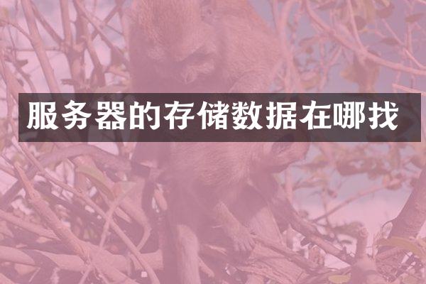 服务器的存储数据在哪找