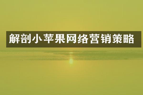 解剖小苹果网络营销策略