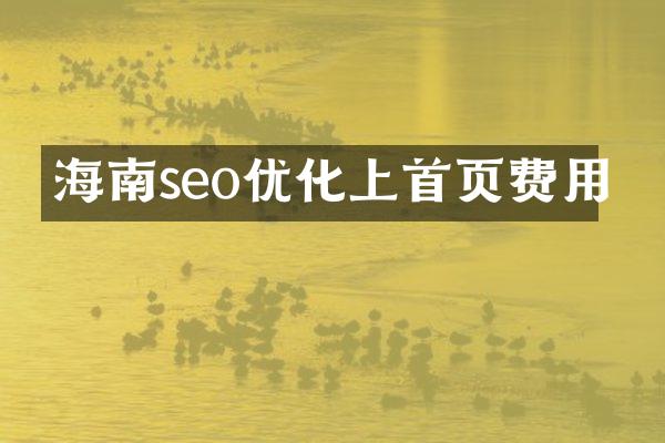 海南seo优化上首页费用