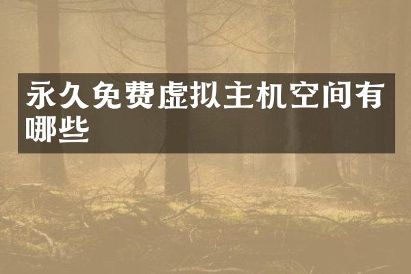 永久免费虚拟主机空间有哪些