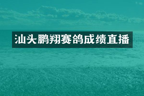 汕头鹏翔赛鸽成绩直播