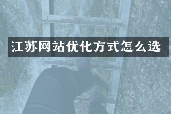 江苏网站优化方式怎么选
