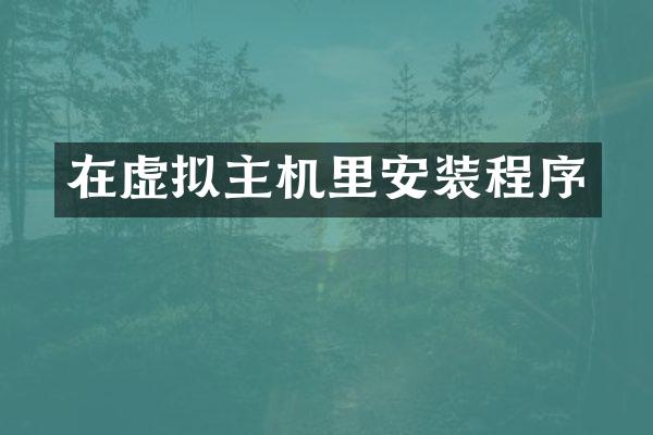 在虚拟主机里安装程序