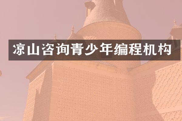 凉山咨询青少年编程机构