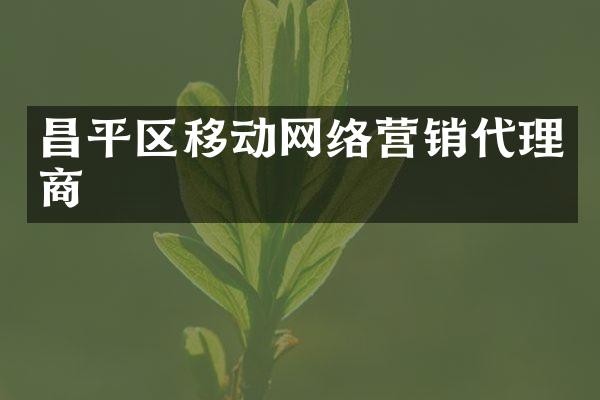 昌平区移动网络营销代理商