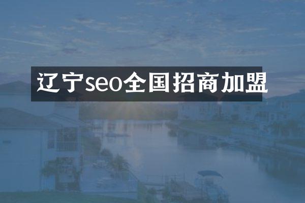 辽宁seo全国招商加盟