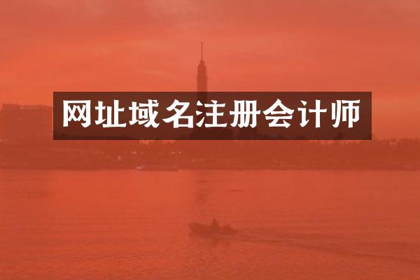网址域名注册会计师