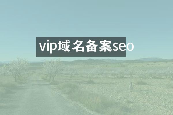 vip域名备案seo