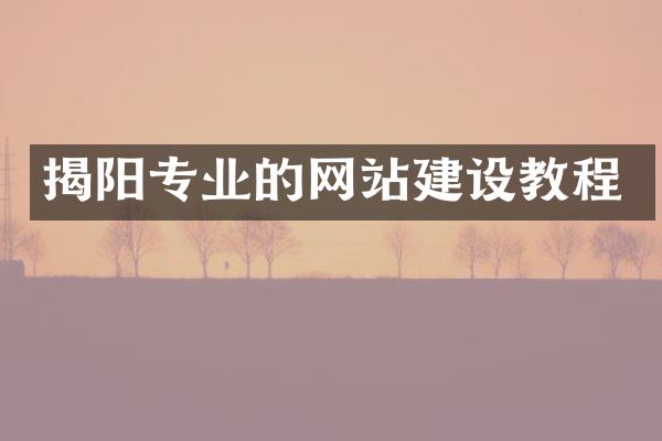 揭阳专业的网站建设教程