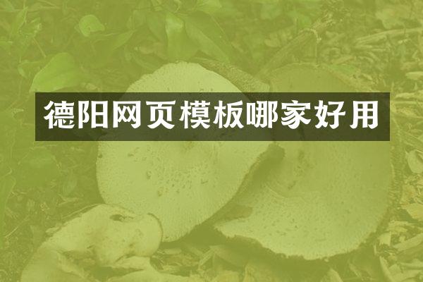 德阳网页模板哪家好用