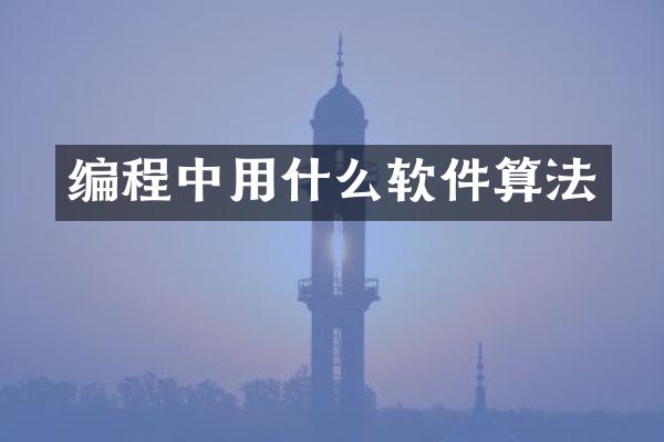 编程中用什么软件算法