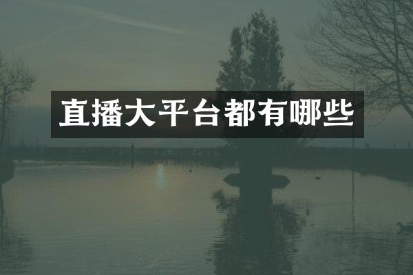直播大平台都有哪些