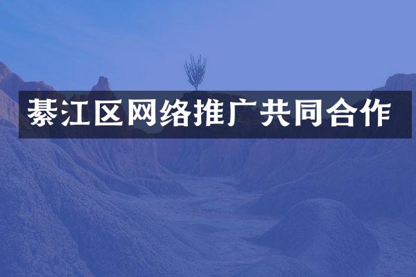 綦江区网络推广共同合作