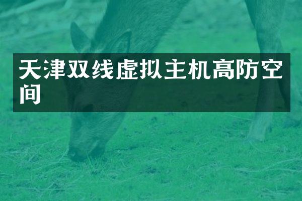 天津双线虚拟主机高防空间