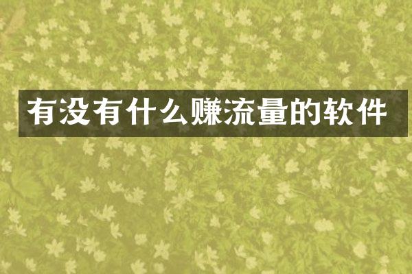 有没有什么赚流量的软件