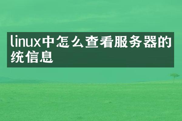 linux中怎么查看服务器的系统信息