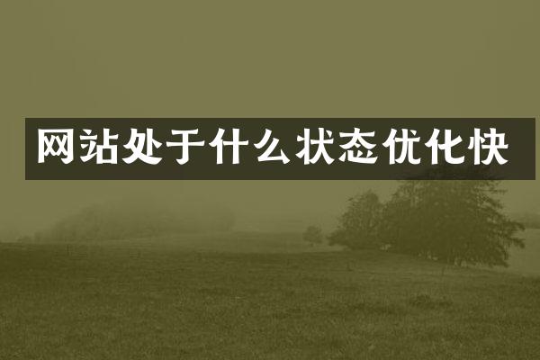 网站处于什么状态优化快