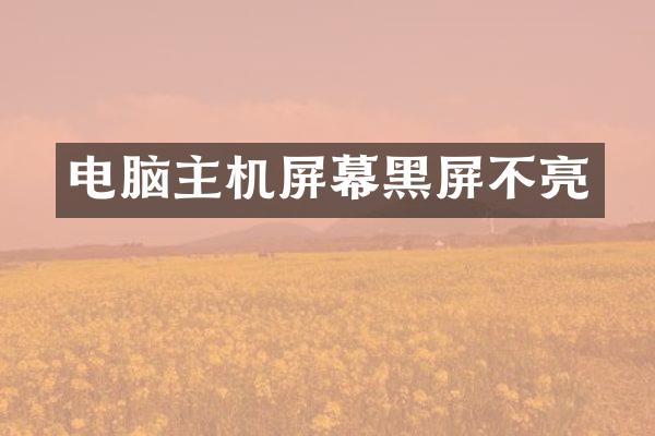 电脑主机屏幕黑屏不亮
