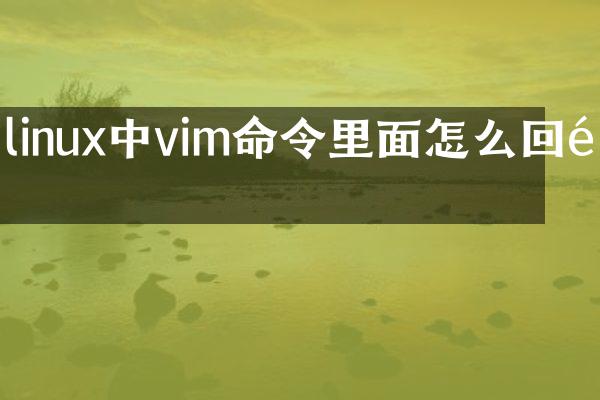 linux中vim命令里面怎么回退