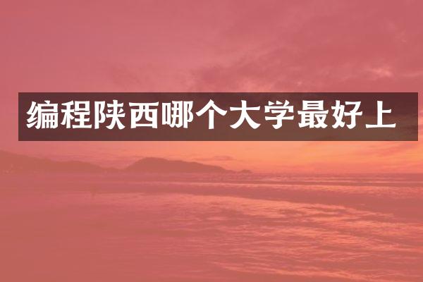 编程陕西哪个大学最好上