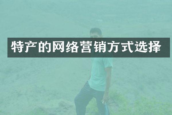 特产的网络营销方式选择