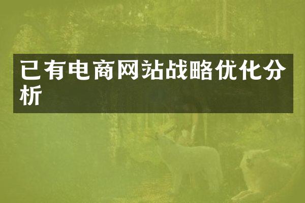 已有电商网站战略优化分析