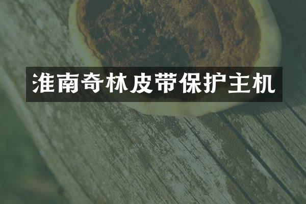 淮南奇林皮带保护主机