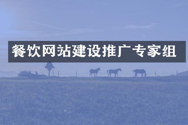 餐饮网站建设推广专家组