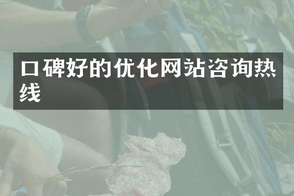 口碑好的优化网站咨询热线