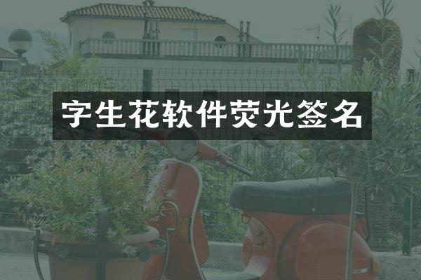 字生花软件荧光签名
