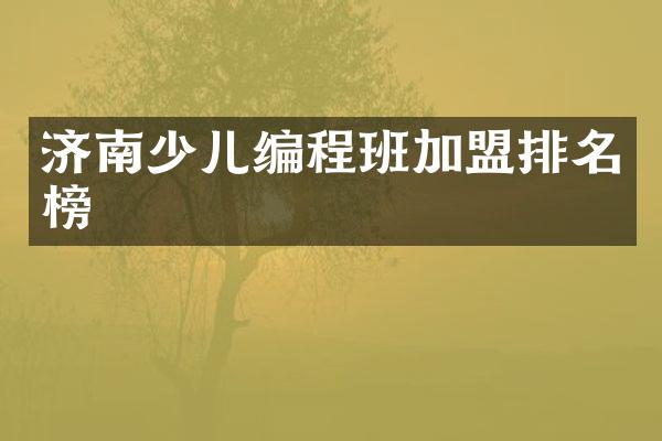 济南少儿编程班加盟排名榜