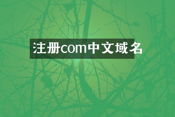 注册com中文域名