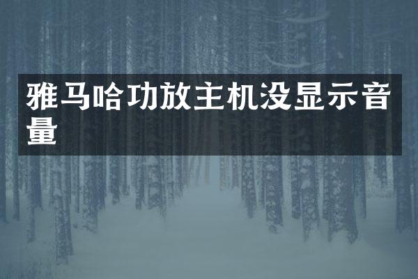 雅马哈功放主机没显示音量