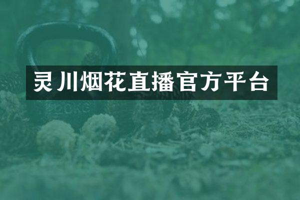 灵川烟花直播官方平台