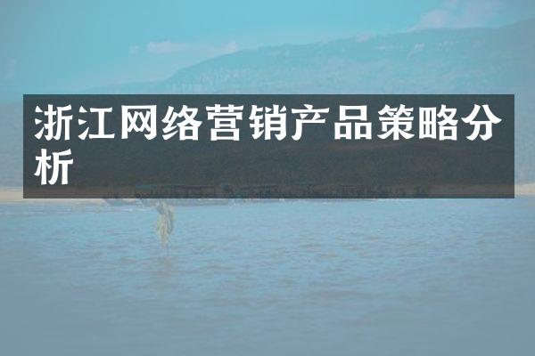 浙江网络营销产品策略分析