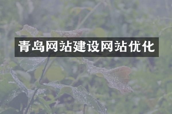 青岛网站建设网站优化