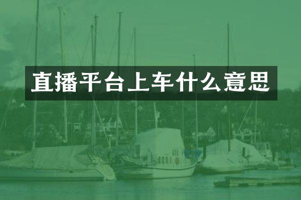 直播平台上车什么意思