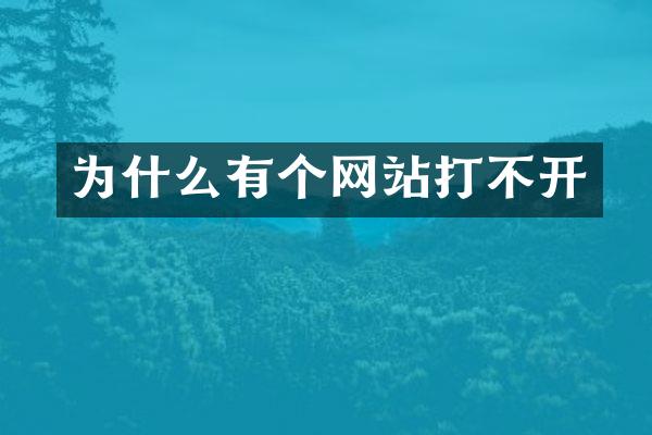 为什么有个网站打不开