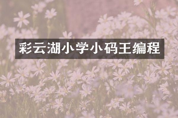 彩云湖小学小码王编程