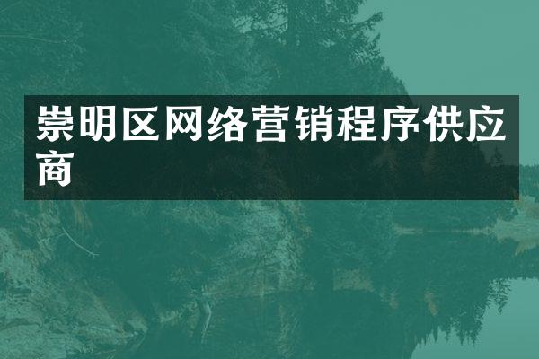 崇明区网络营销程序供应商