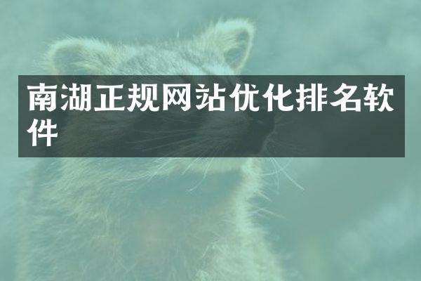 南湖正规网站优化排名软件
