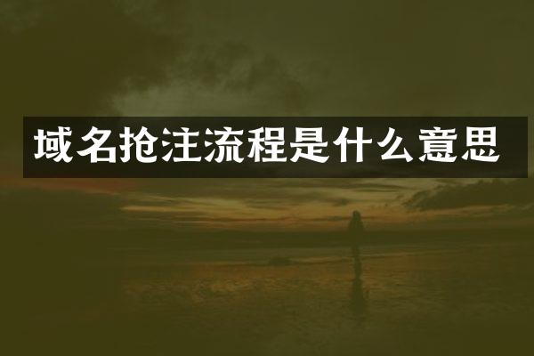 域名抢注流程是什么意思