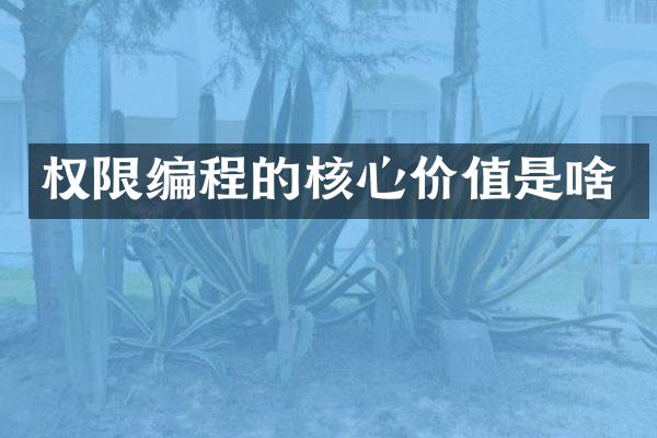 权限编程的核心价值是啥