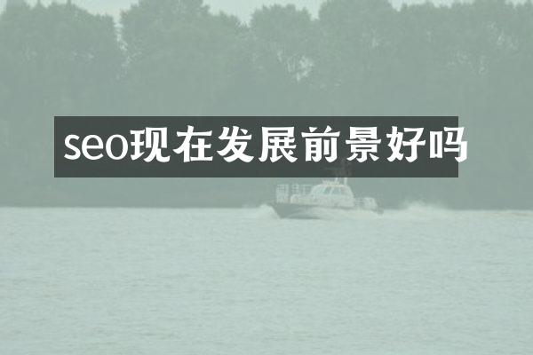 seo现在发展前景好吗