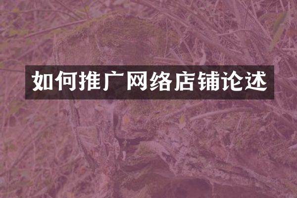 如何推广网络店铺论述