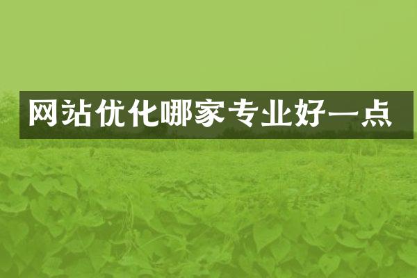 网站优化哪家专业好一点