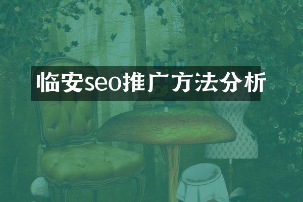 临安seo推广方法分析